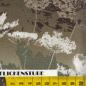 Preview: Glacier Lights von McKennaRyan